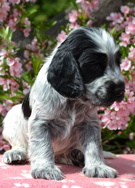 23 - Lady Abigail.JPG